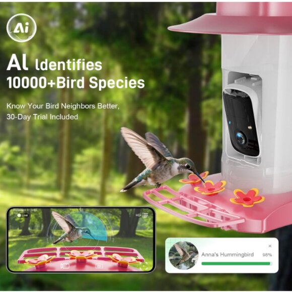 Hummingbird Feeder with Camera Outdoor - Picture 3 of 3